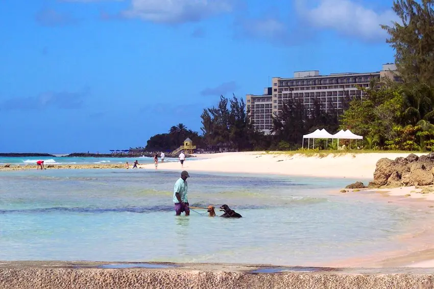 A man and his two dogs enjoy a sea bath in an ocean pool