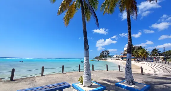 Bench under coconut trees on the boardwalk with beach in the background