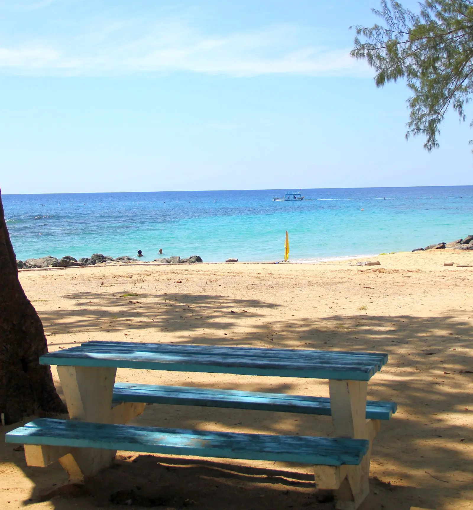 Wooden picnic bench shaded by trees looking out to sea along the boardwalk