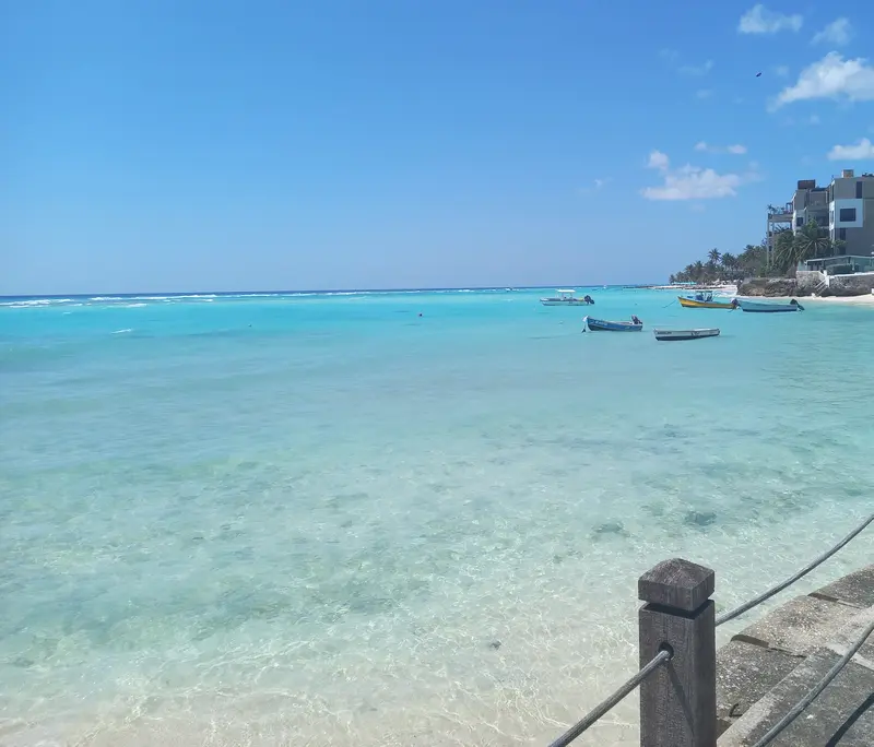 Looking into crystal-clear waters of the Bay from the boardwalk