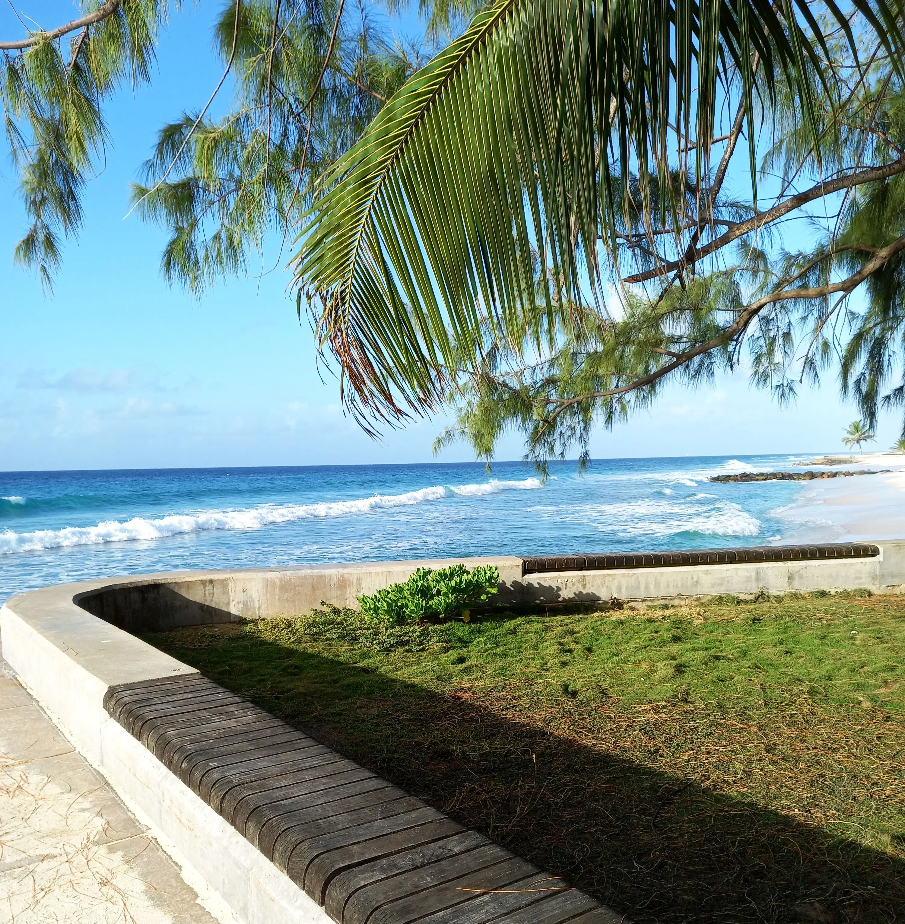 Small headland with benches and palm tree, jutting out in the sea