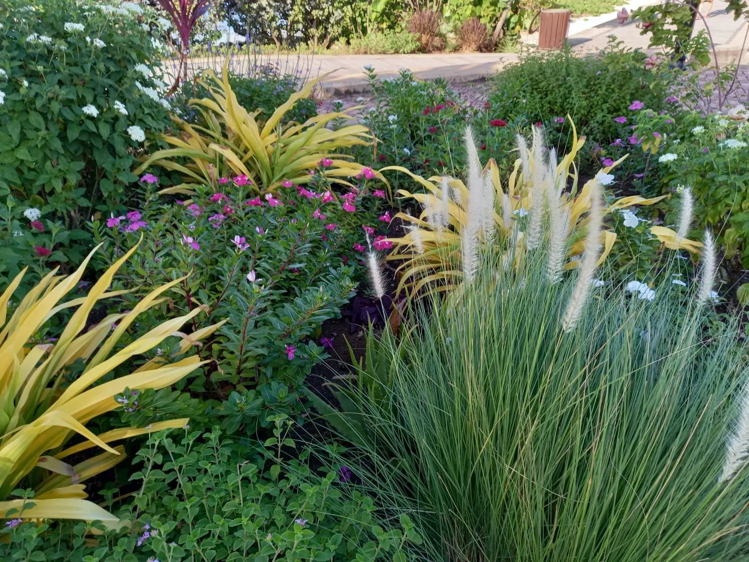 Hardy shrubs and colorful flowers planted alongside the boardwalk