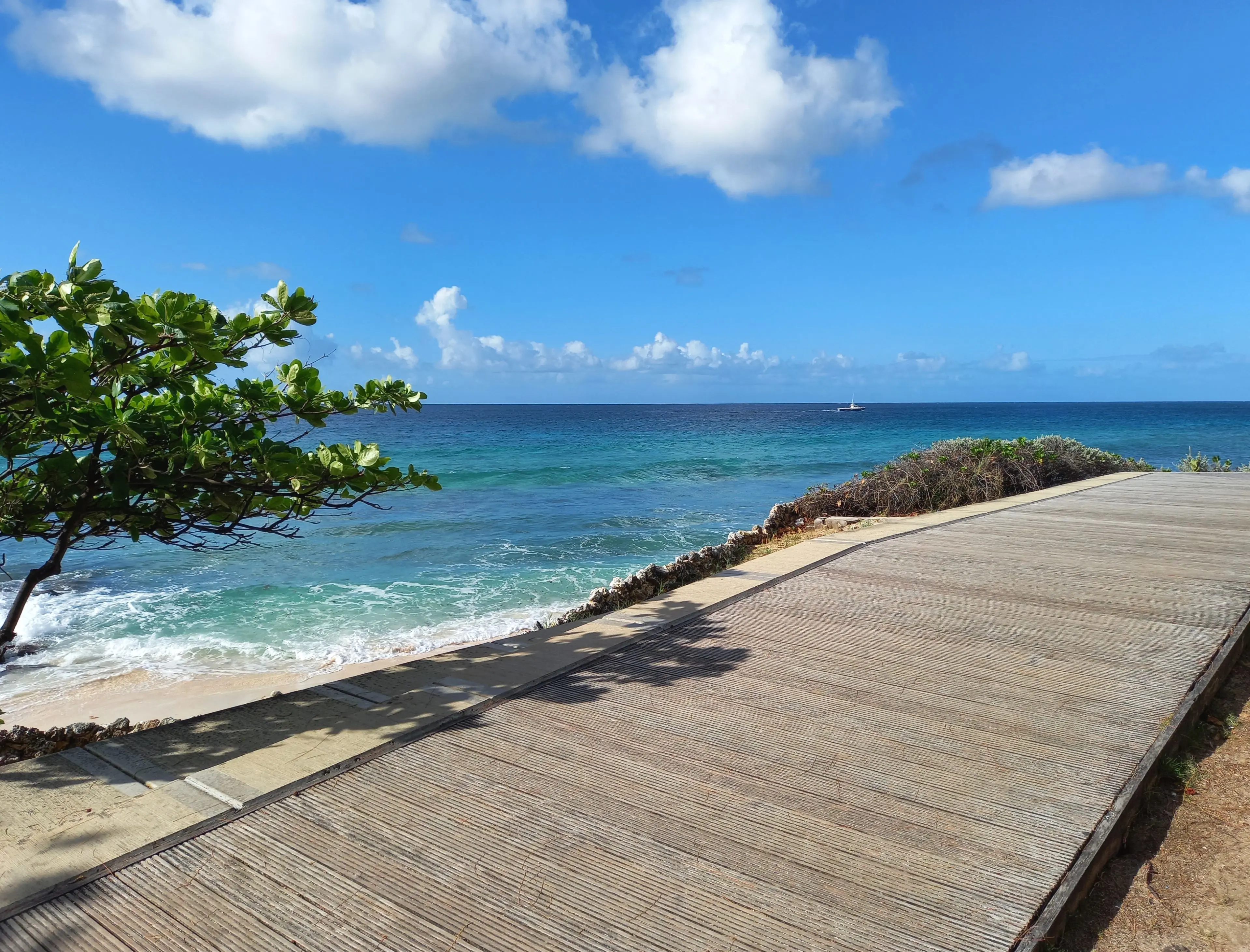 Looking across the boardwalk to the ocean, with sea grapes trees on the side