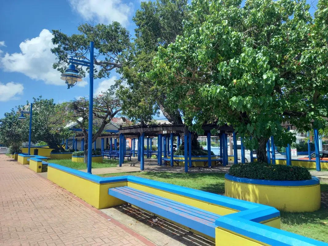 Colorful blue and yellow esplanade with mature trees and several benches