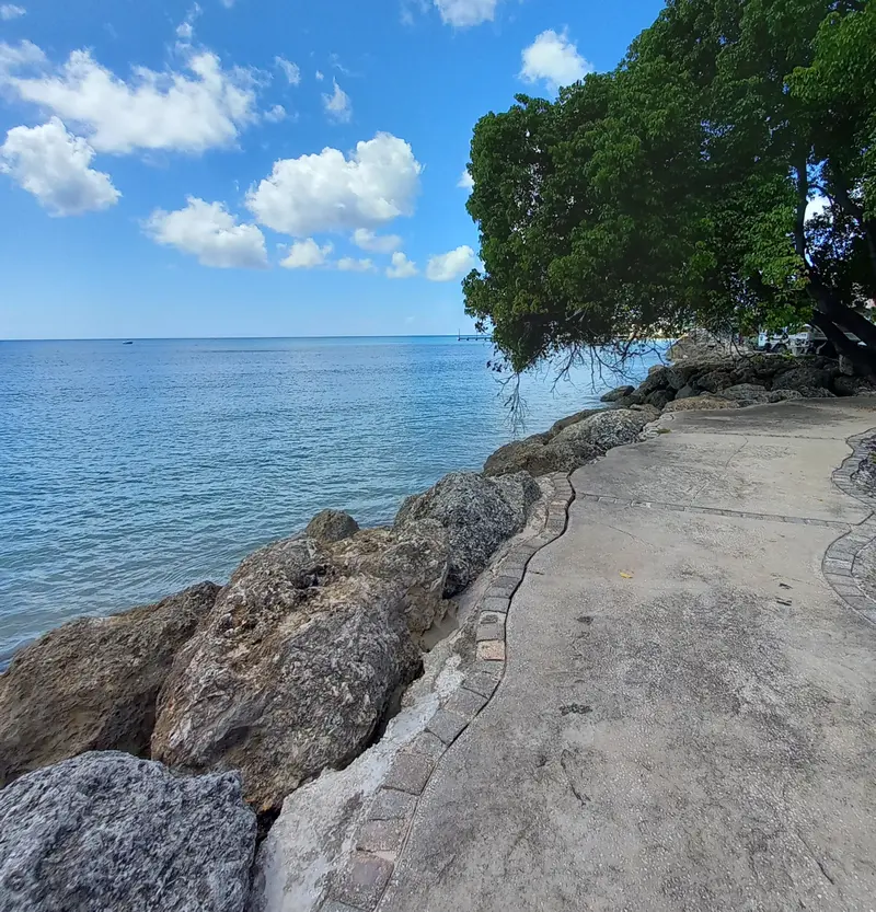 A winding oceanfront pathway