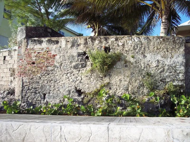 Closer view of the weathered wall of bricks and mortar, with plants growing out of the wall