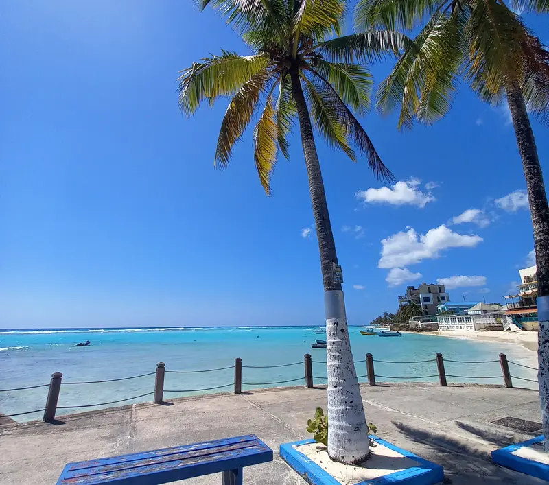 View of a bench in front of turquoise waters of a tranquil bay